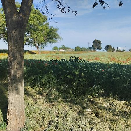 Casa Rural El Realengo Las Casas  Dış mekan fotoğraf